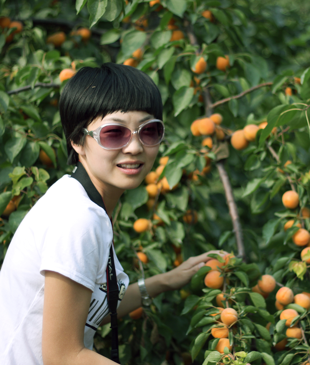汶上白石山杏形象代言人