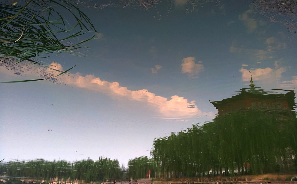 梦中的东楼.jpg