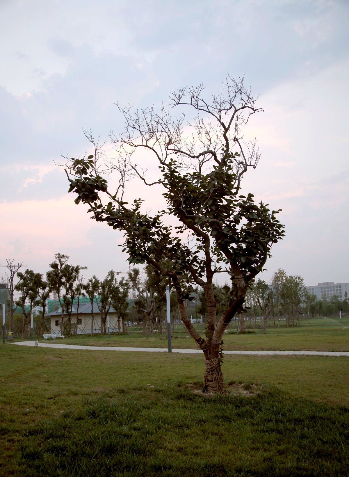 b3fb43166d224f4aad7ceab809f790529922d1b0.jpg