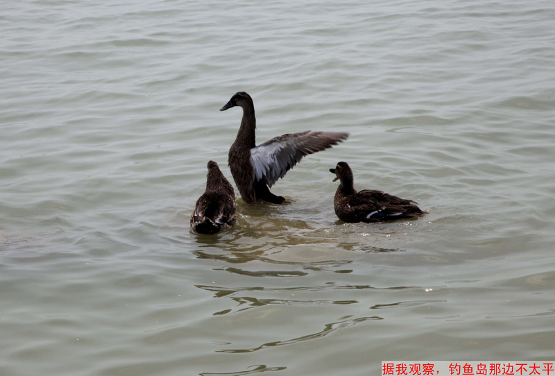 照片 1.jpg