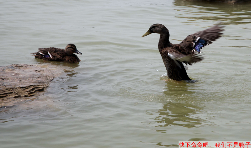 照片 2.jpg