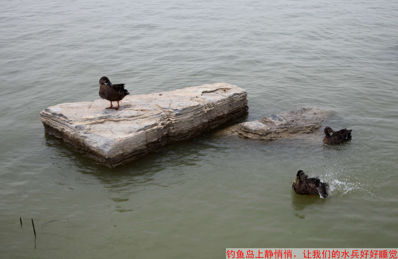 照片 19.jpg