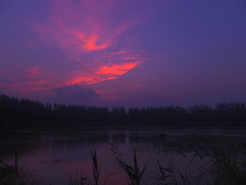 南阳晨曦.jpg