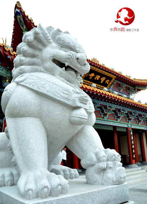 p_large_Jv0M_752d0001d96d5c72.jpg