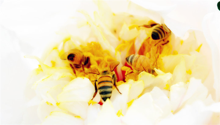 p_large_eM3J_37d90001e0145c3f.jpg