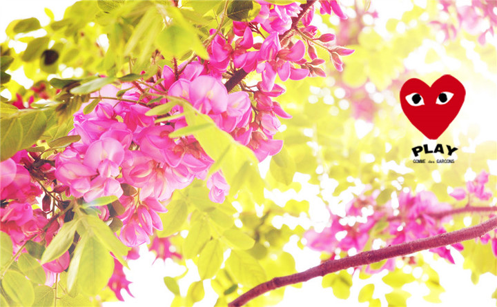 p_large_Rfbx_24e60005be5f5c74.jpg