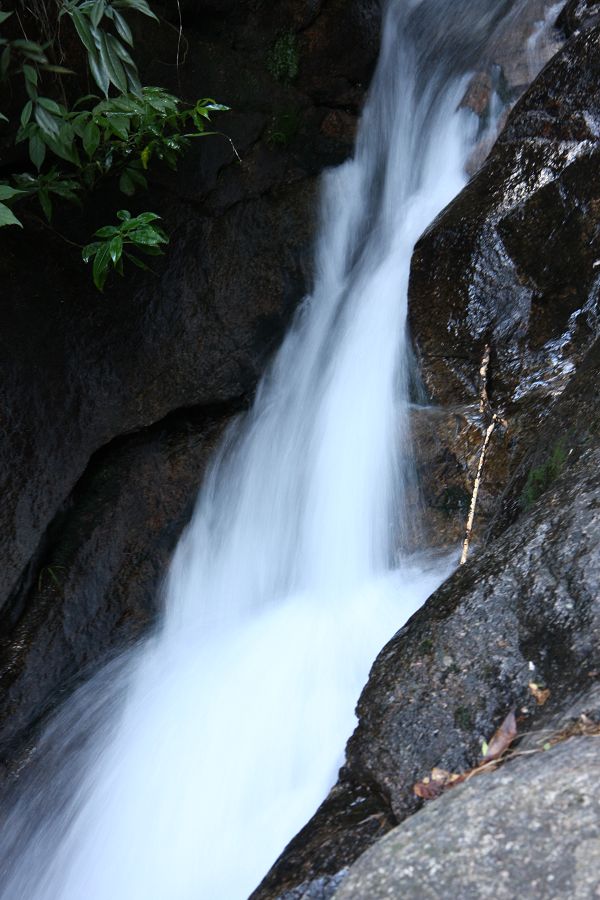 IMG_1445.JPG