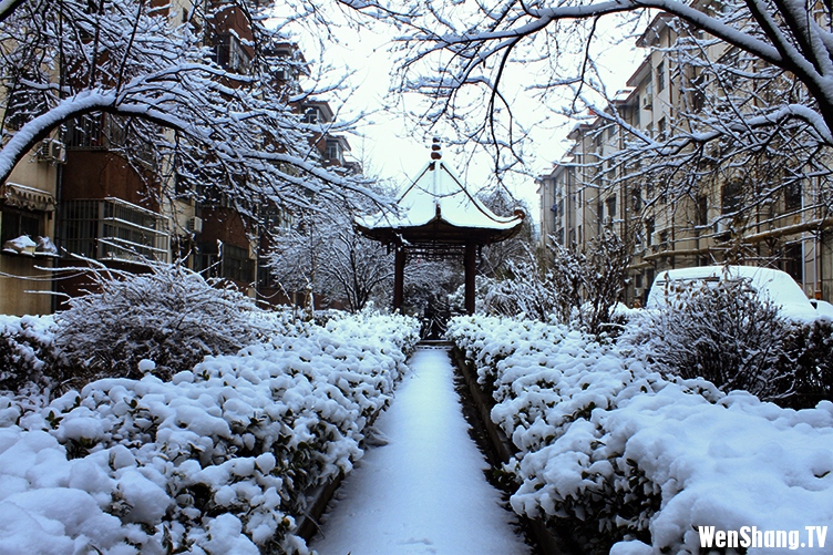汶上雪景[2012年12月21日]