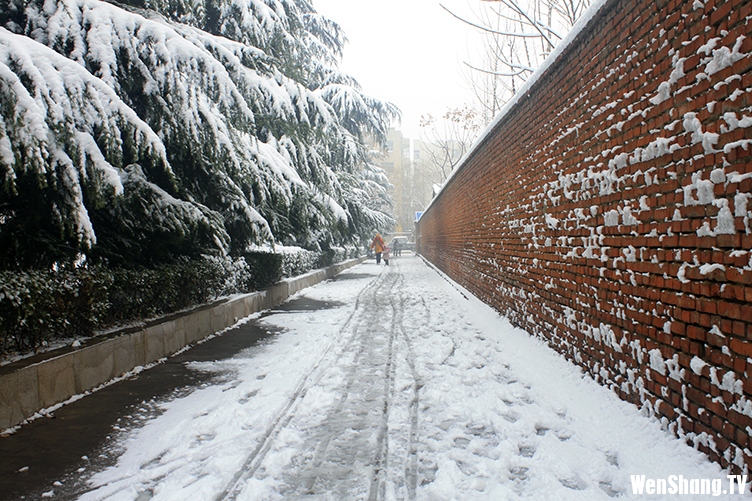 汶上雪景[2012年12月21日]