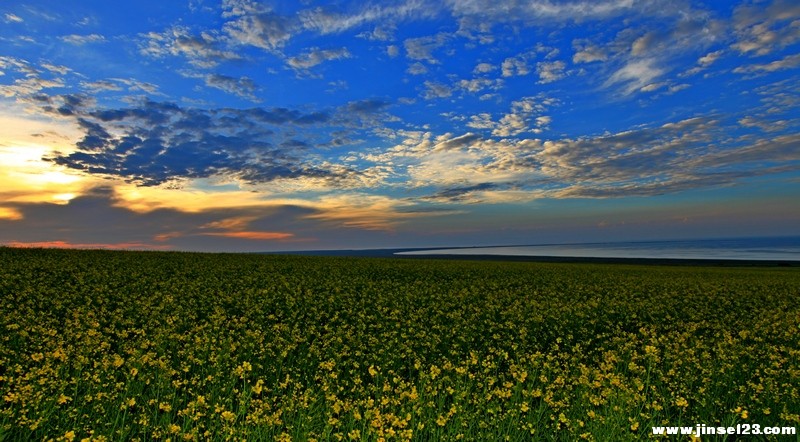 002011w2uredr4l37a2ru1.jpg