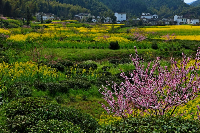 125543qklshs9qku9hv82l.jpg