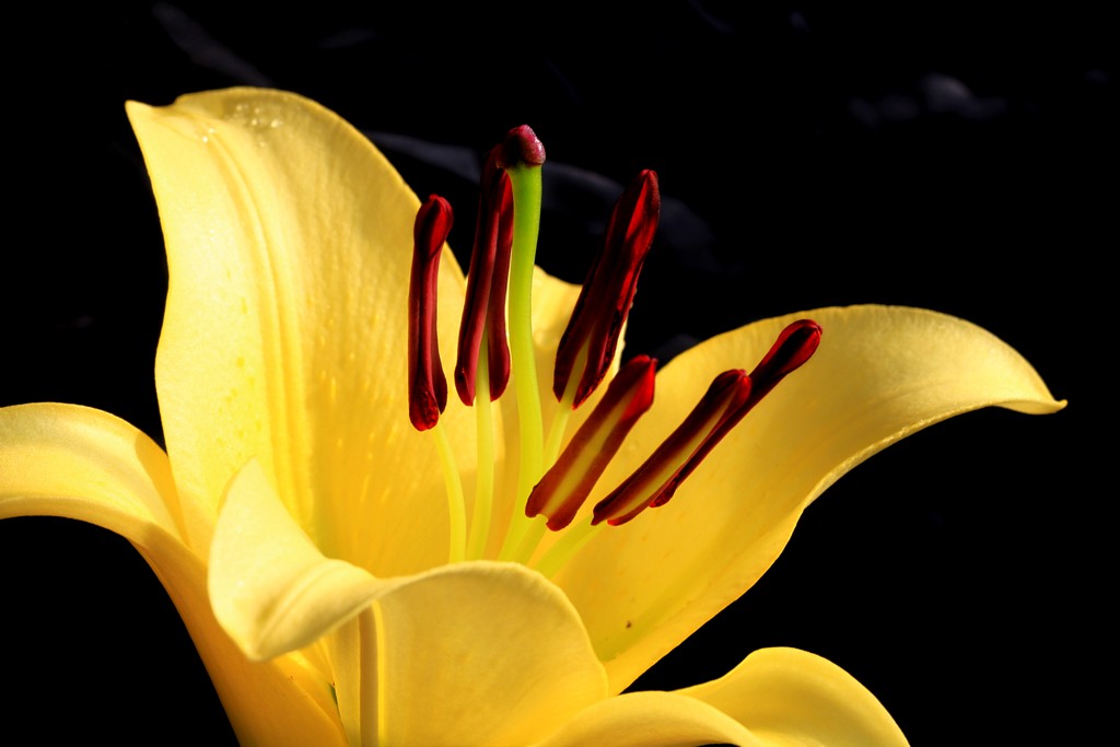 140724b5l09ywpuol5o1b9.jpg