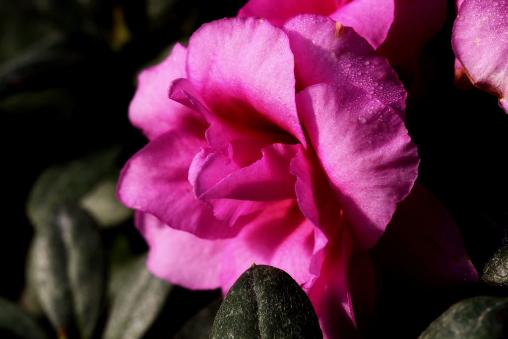 140754mb3ufbb8eoqb8c1q.jpg