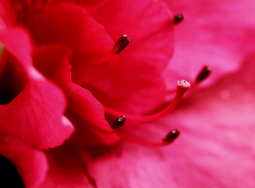 231802g9dgy8z8wiijdh05.jpg