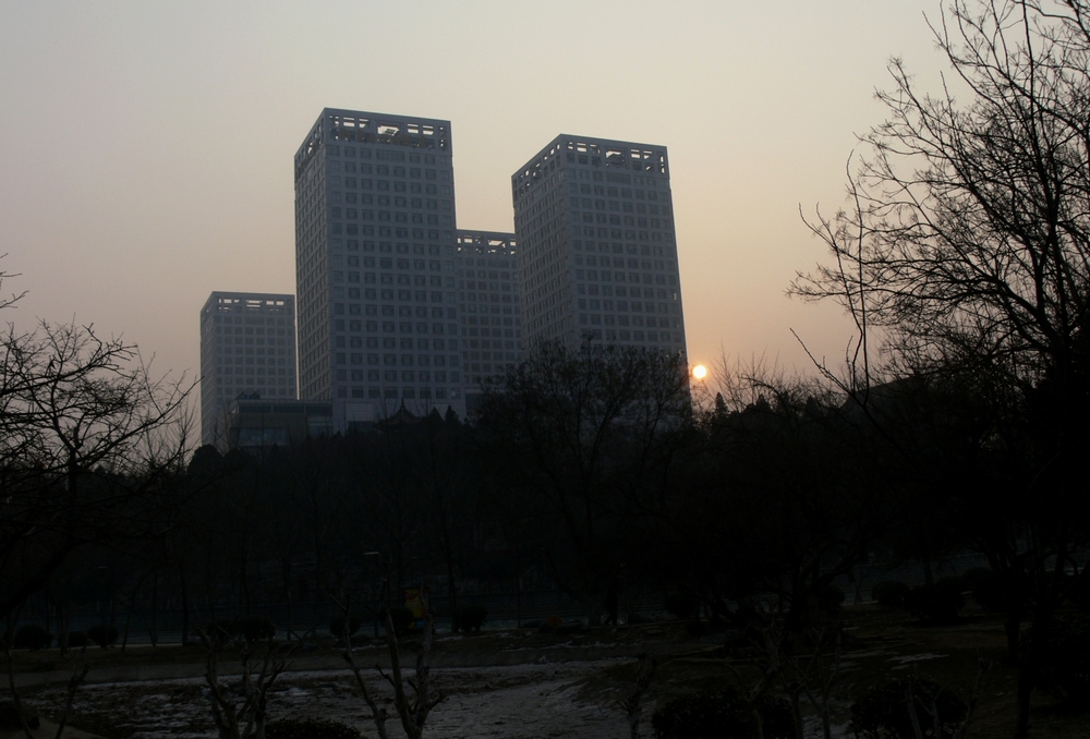P1090096.jpg