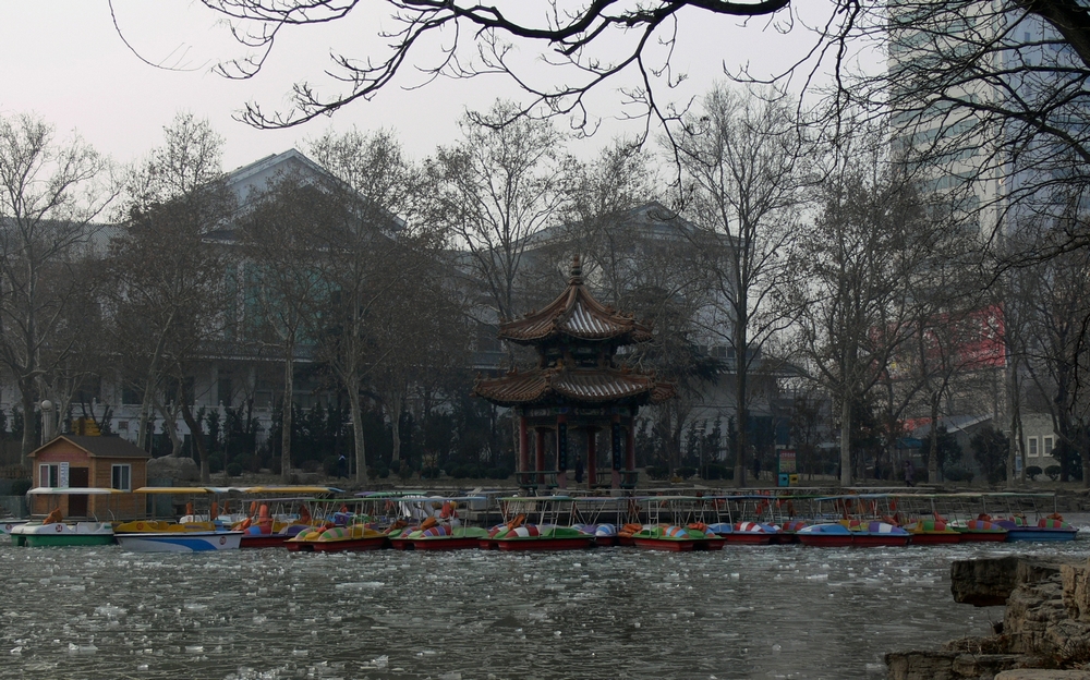 P1090098.jpg