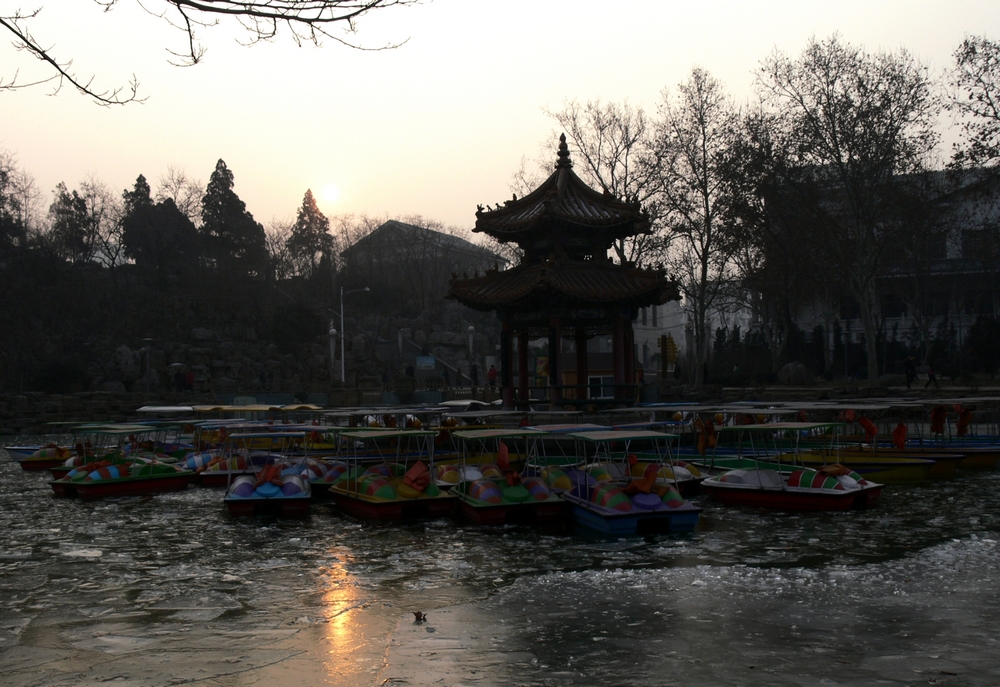 P1090099.jpg
