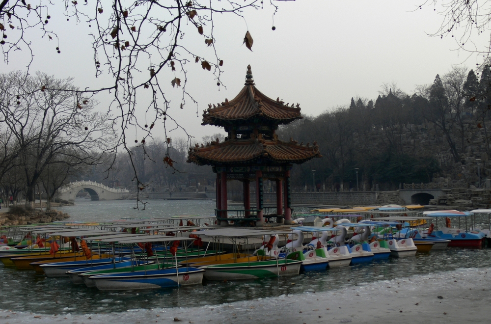 P1090110.jpg