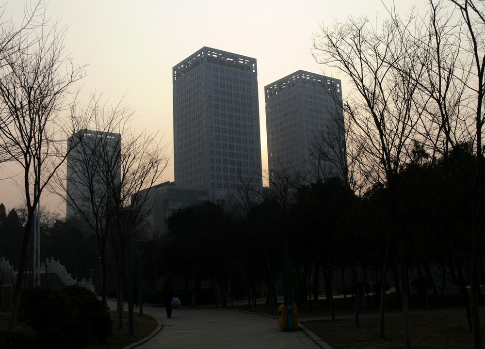 P1090126.jpg