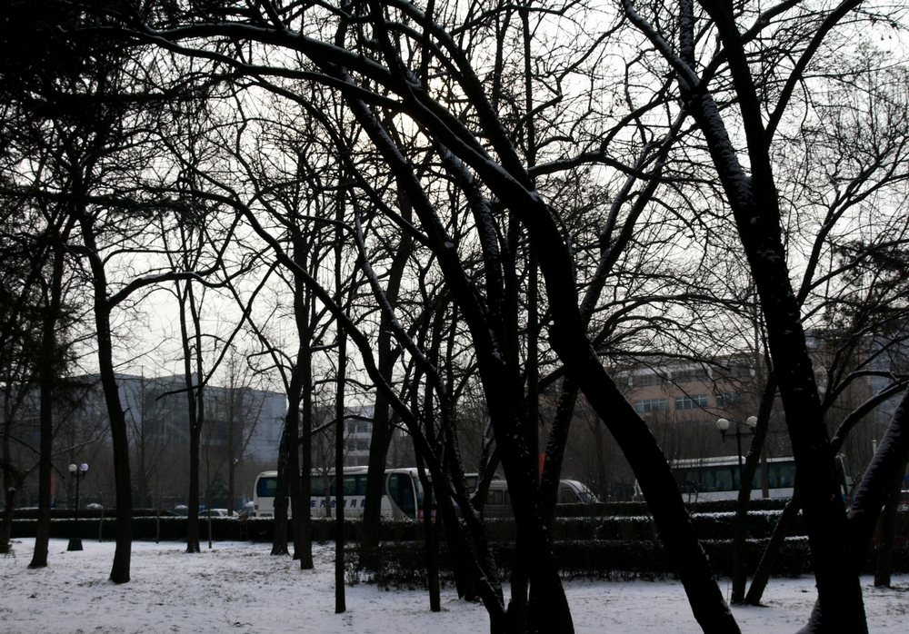 P1090226.jpg