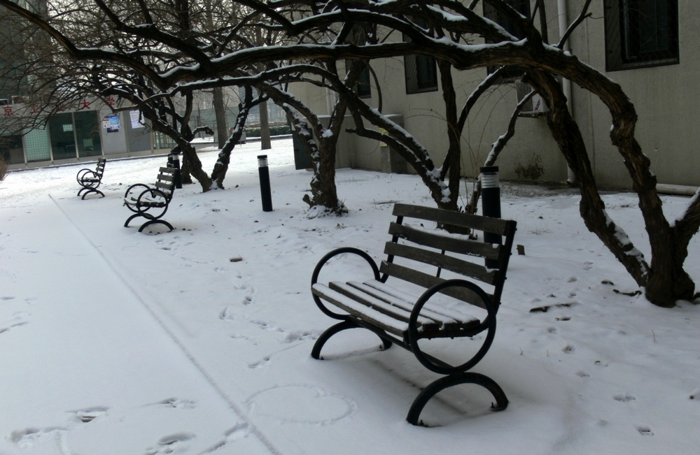 P1090229.jpg