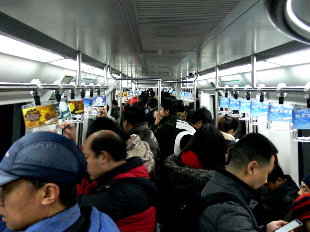 P1090307.jpg