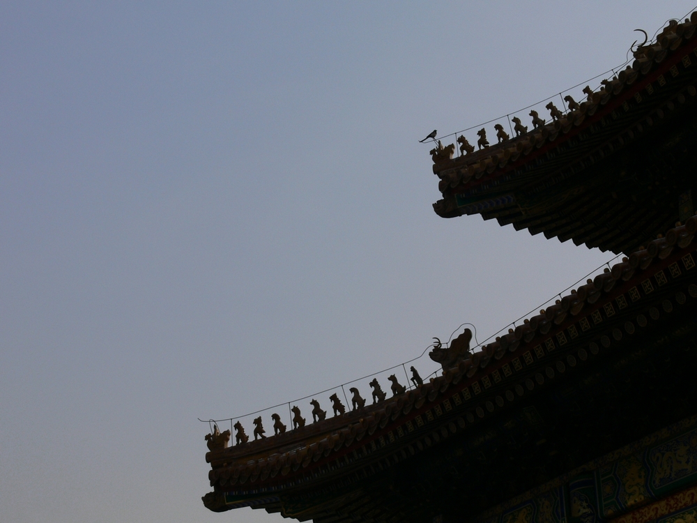 P1090389.jpg