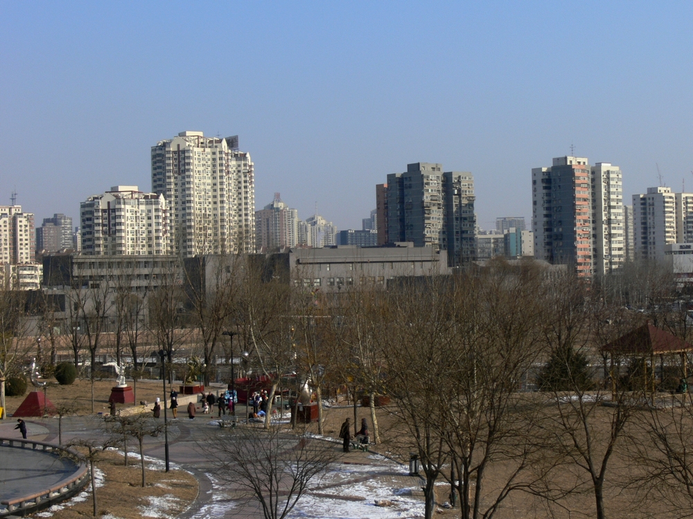 P1090269.jpg
