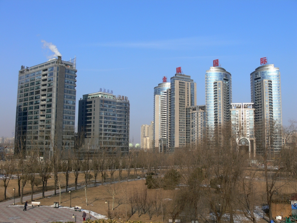 P1090271.jpg
