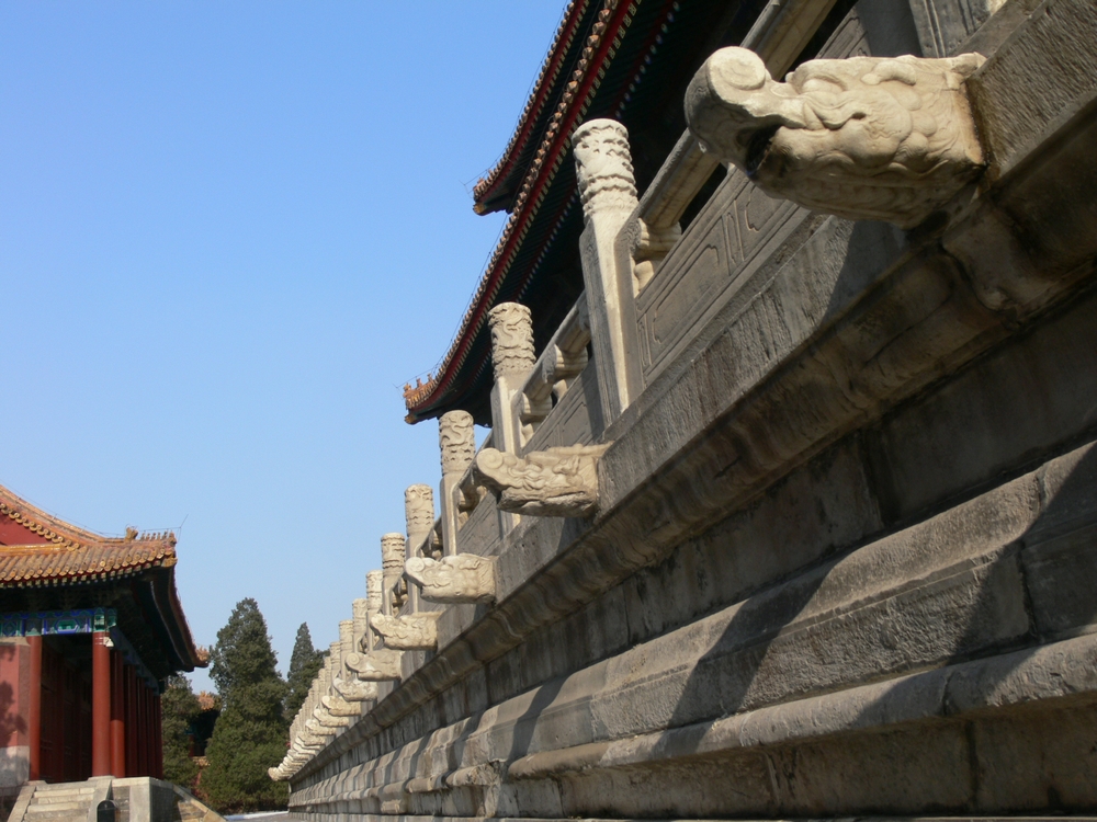 P1090335.jpg