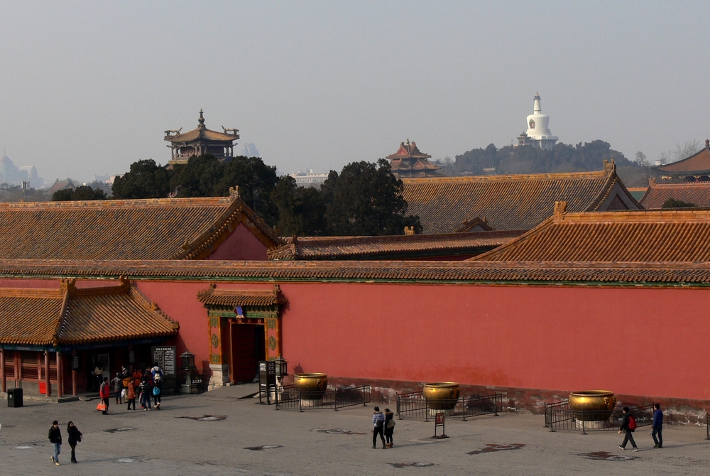 P1090397.jpg