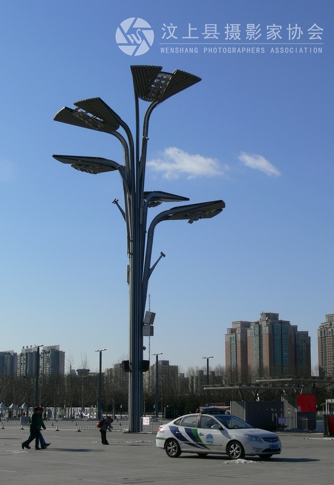 P1090536.jpg