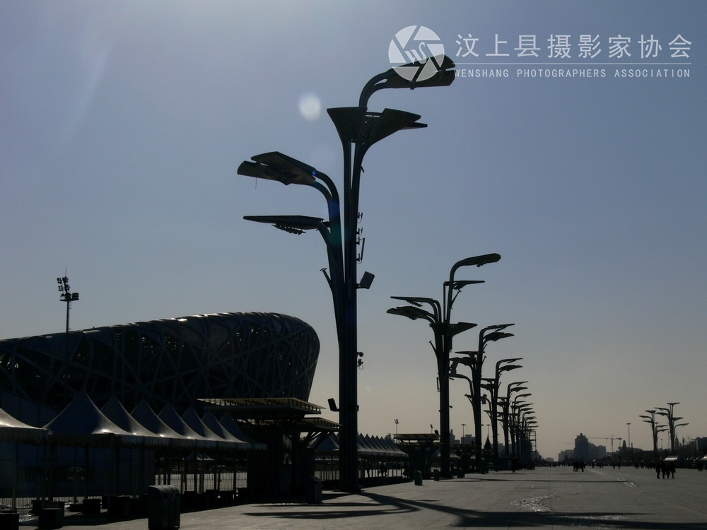 P1090554.jpg