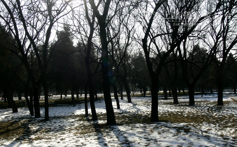 P1090608.jpg