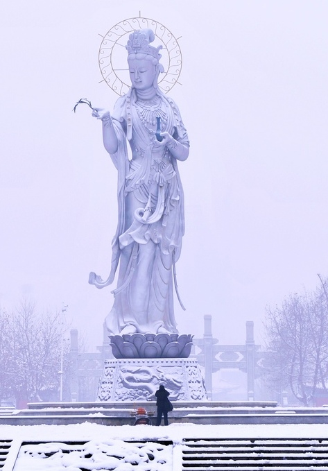 172137wigloa4dtom864a5.jpg