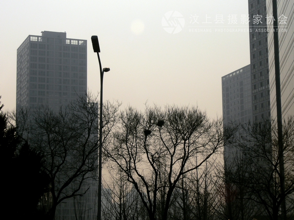 P1090831.jpg