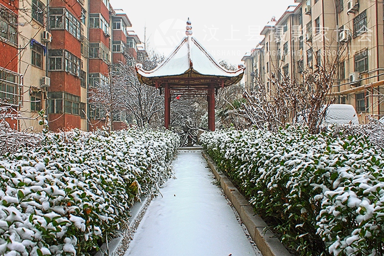 汶上 摄影