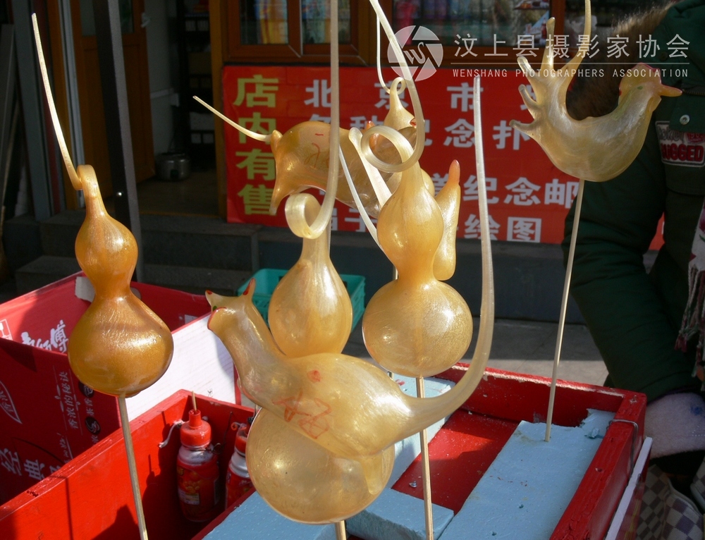 P1100438.jpg