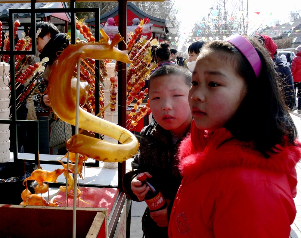 P1100537.jpg