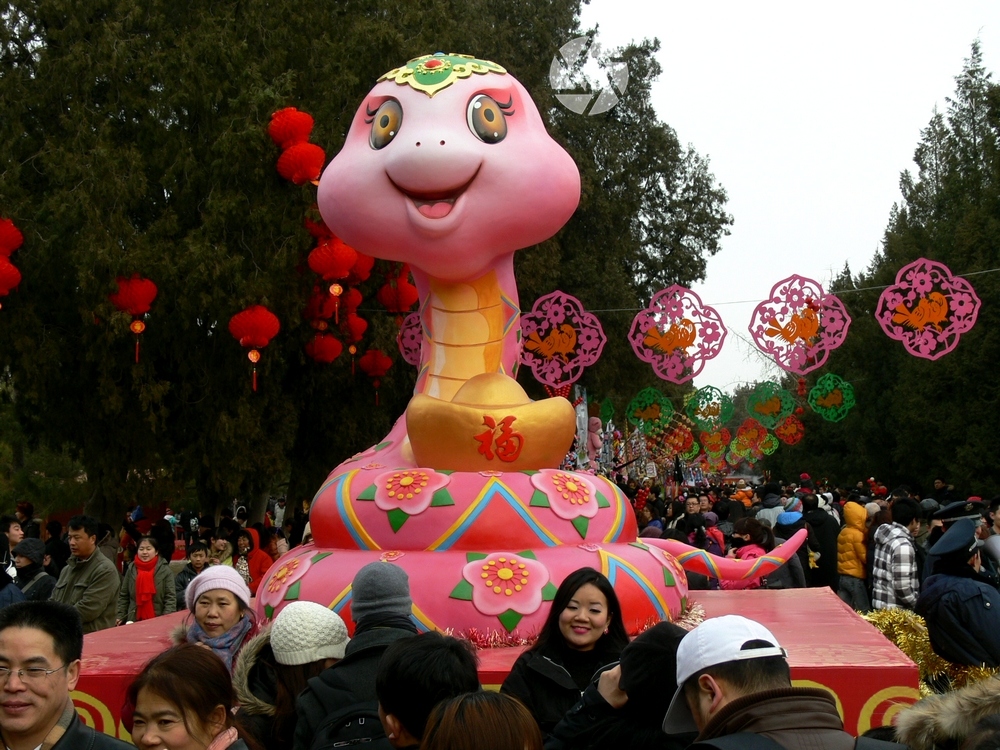 P1100746.jpg