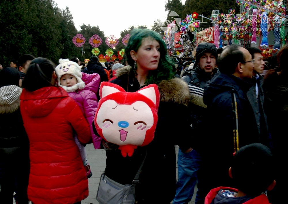 P1100787.jpg