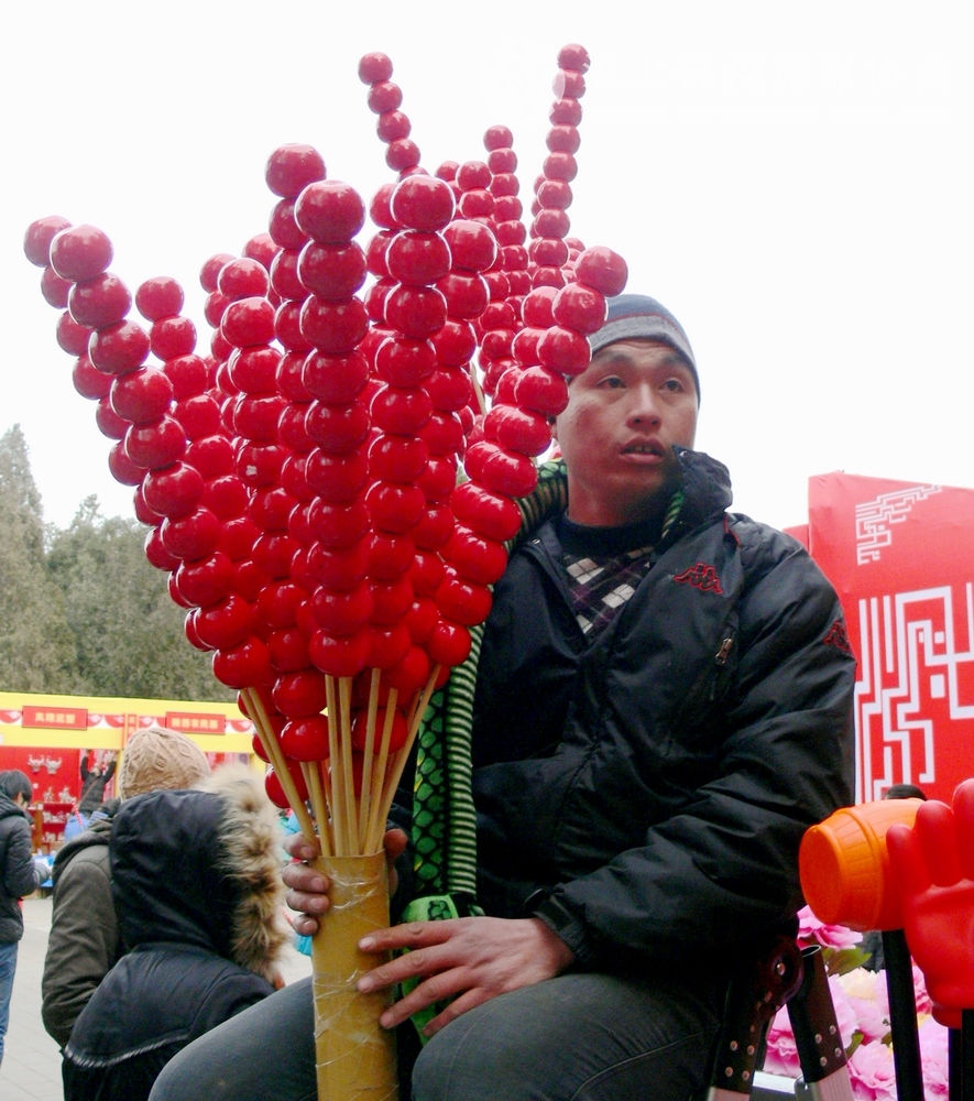 P1100796.jpg
