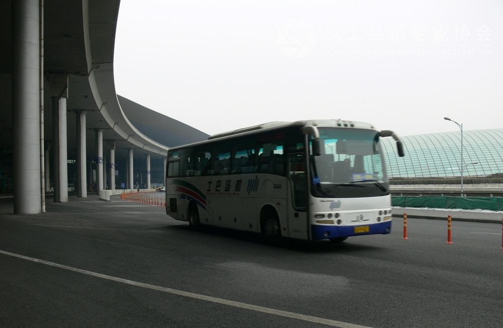 P1100864.jpg