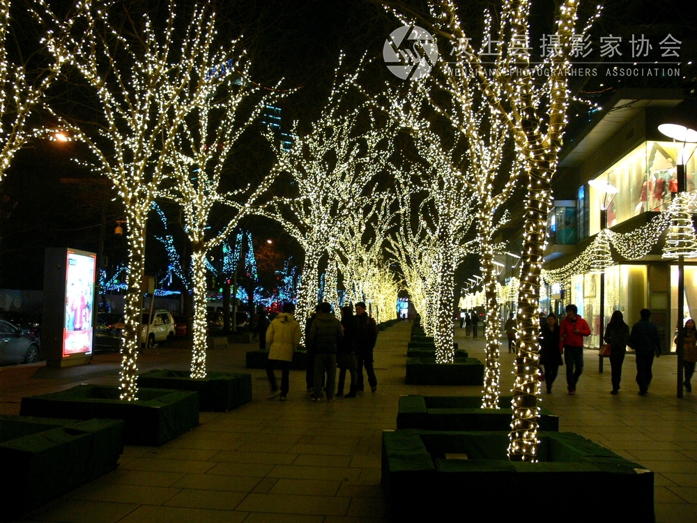P1110220.jpg