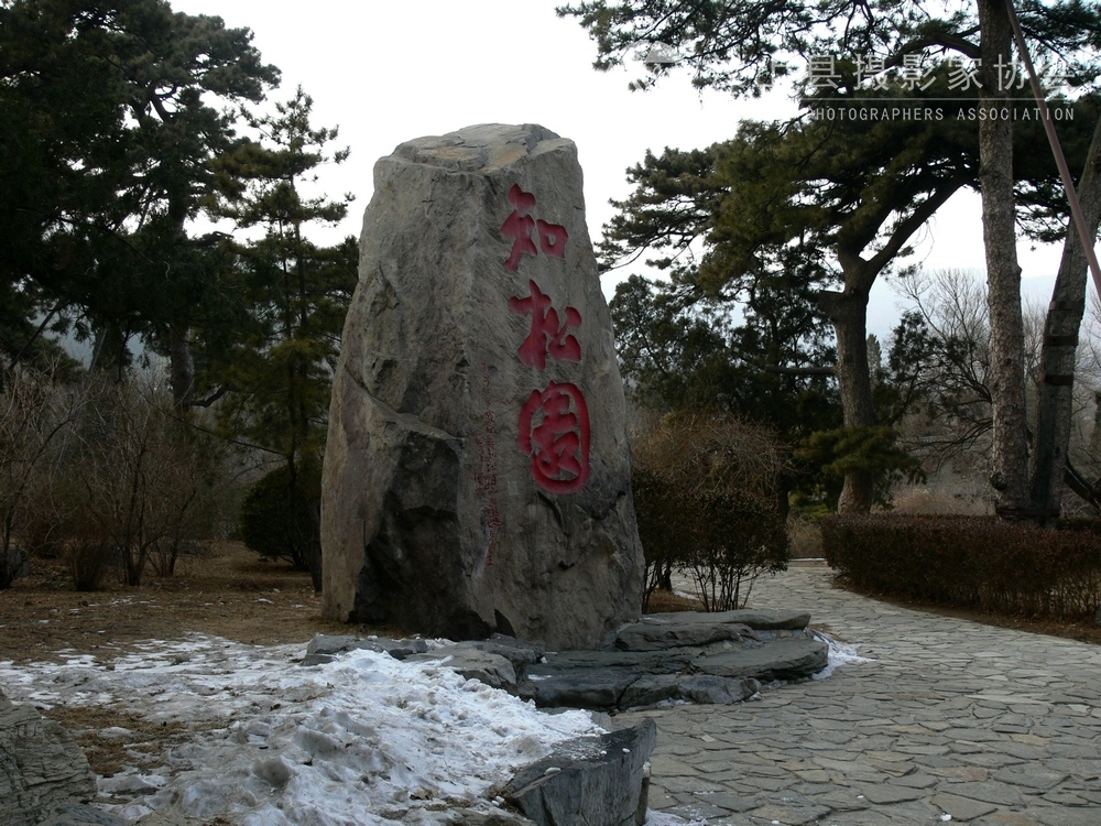 P1110125.jpg