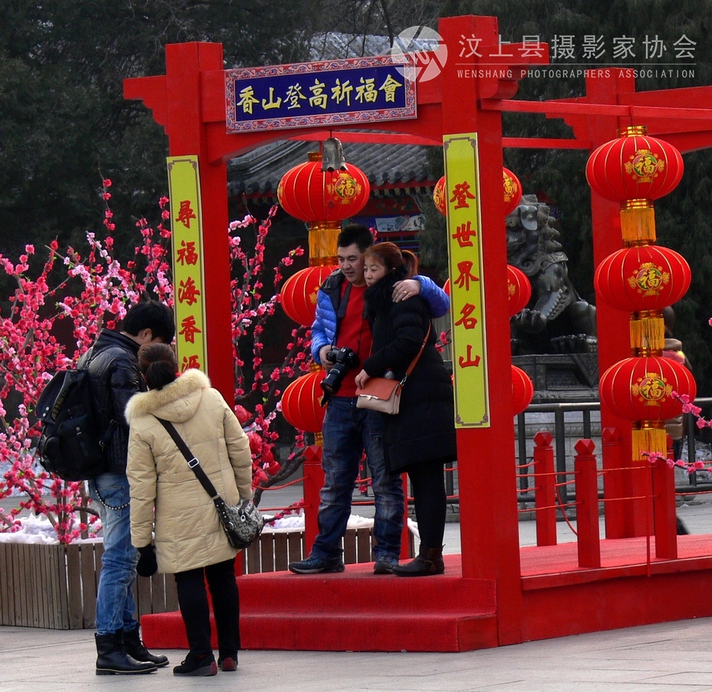 P1110131.jpg