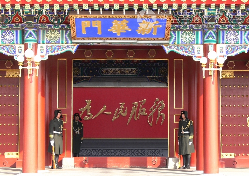 P1100988.jpg
