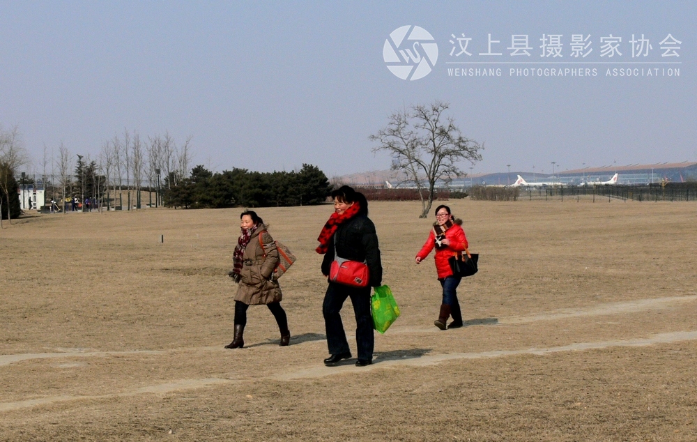 P1110572.jpg