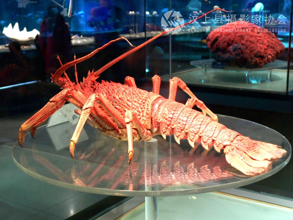 P1120013.jpg