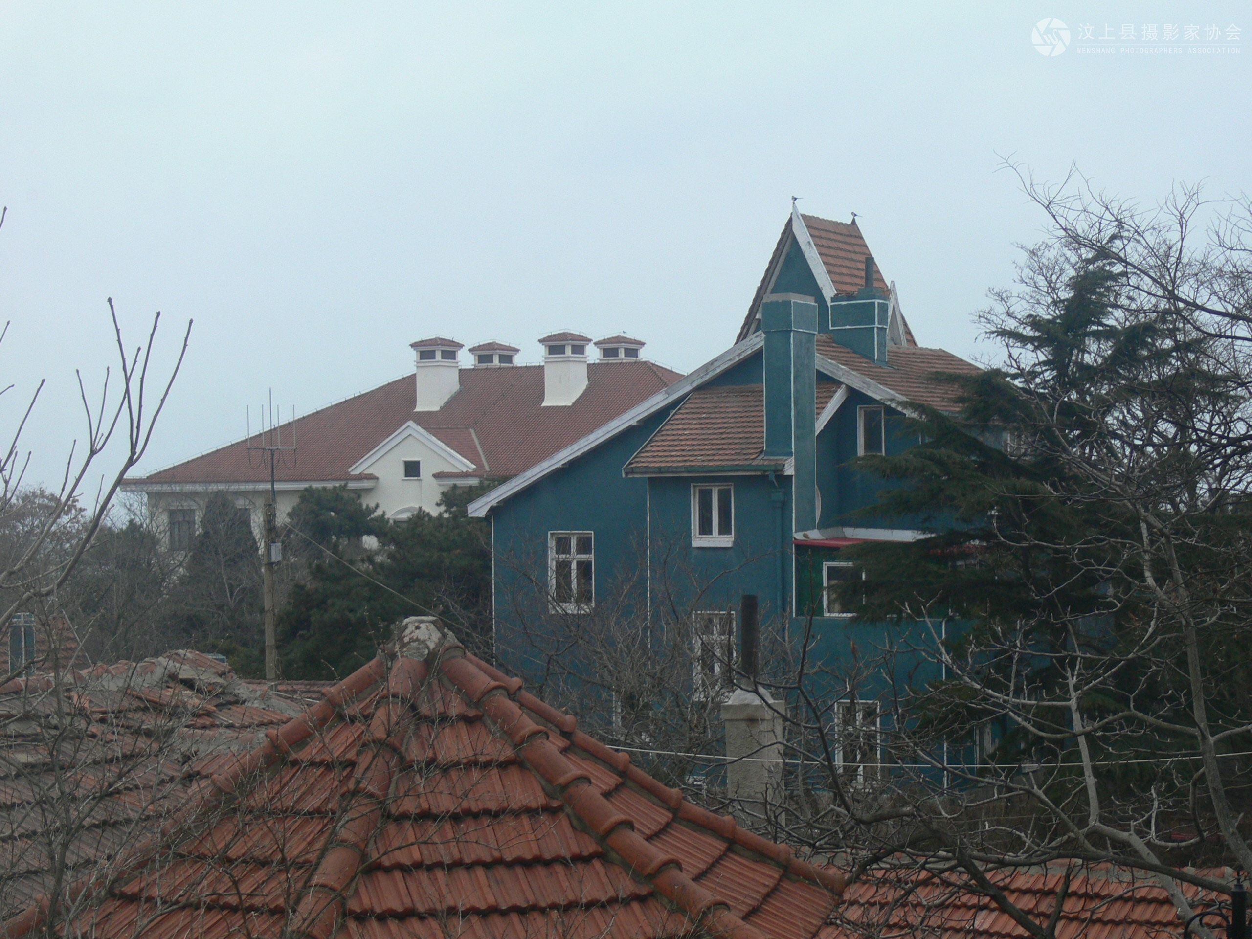 P1120174.JPG